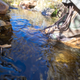 Image for article titled Adventure: Backpack Hunting In The High Sierra